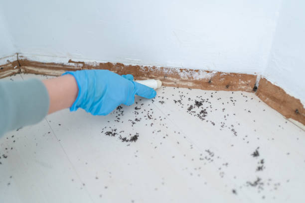 Best Pest Removal Services  in Churchill, PA